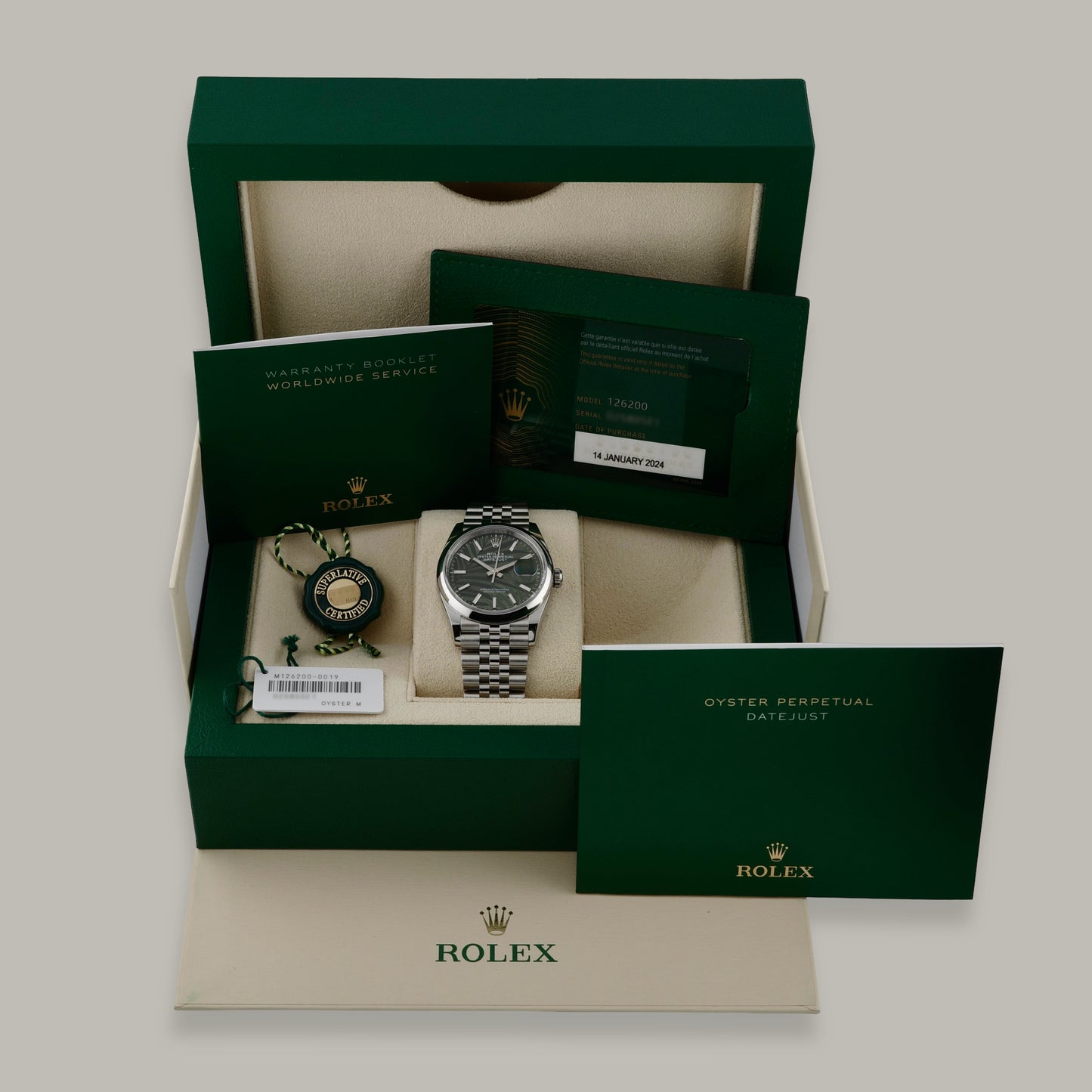 Rolex Datejust 36 Palm Motif Dial Watch